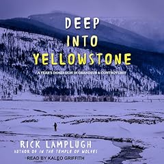 Deep into Yellowstone Audiolibro Por Rick Lamplugh arte de portada