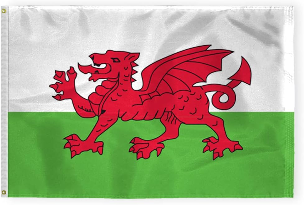 AGAS Wales Flag 4x6 ft 200D Nylon 4 Needle Lock Stitched Fly Hem Never Rust Brass Grommets Canvas Header Welsh National Flag