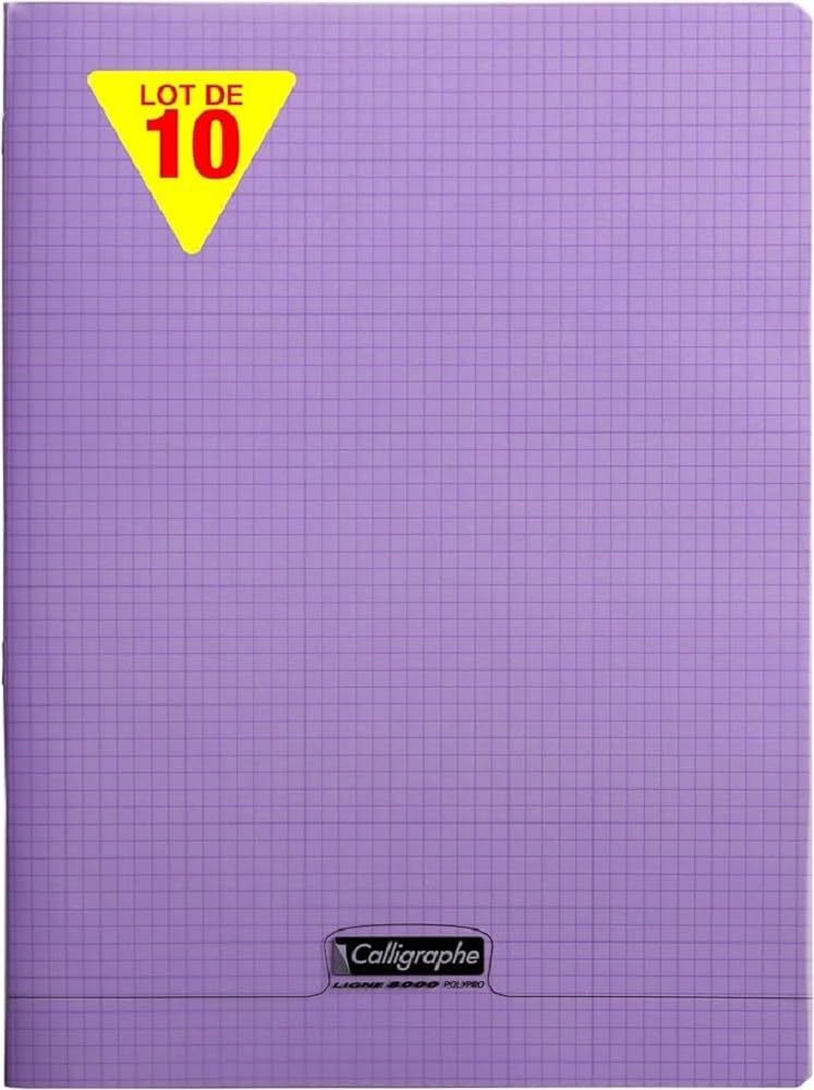 Calligraphe 18477CPack Pack of 10 Purple Stapled Notebooks (Clairefontaine), 24x32 cm, 48 Small Square Pages