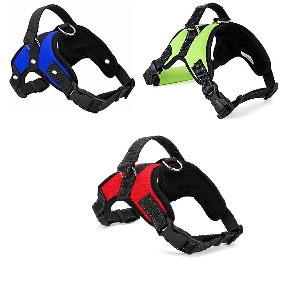See full amazon price history chart for BohoBark Adjustable Latest Vest Harnesses and Soft Mesh Padded, Reflective, Breathable Set for Puppy,Small Dogs and Cats Colour May Very (Pack of 1 Pcs) BohoBark Adjustable Latest Vest Harnesses and Soft Mesh Padded, Reflective, Breathable Set for Puppy,Small Dogs and Cats Colour May Very (Pack of 1 Pcs) (B0BZDC73QD) Amazon Price History, Amazon Price Tracker