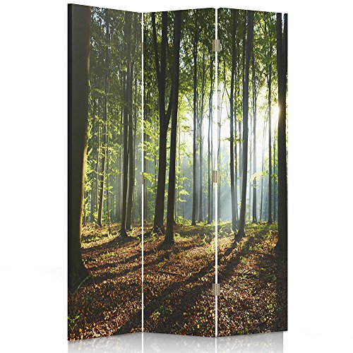 Feeby Frames Il paravento Stampato su Telo,Il divisorio Decorativo per Locali, unilaterale, a 3 Parti (110x180 cm), Bosco, Albero, Paesaggio, Natura, Verde