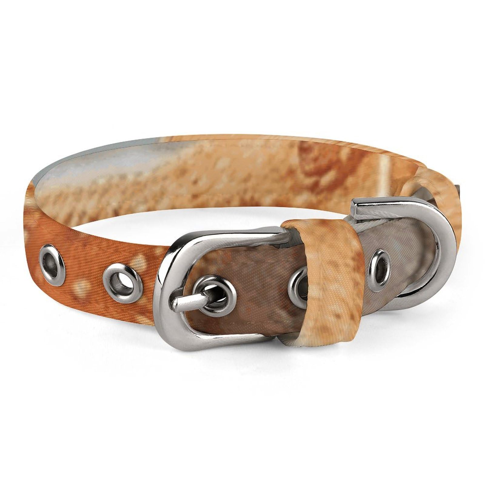 Collier pour chiens et chats plage pour partager la magie des vacances