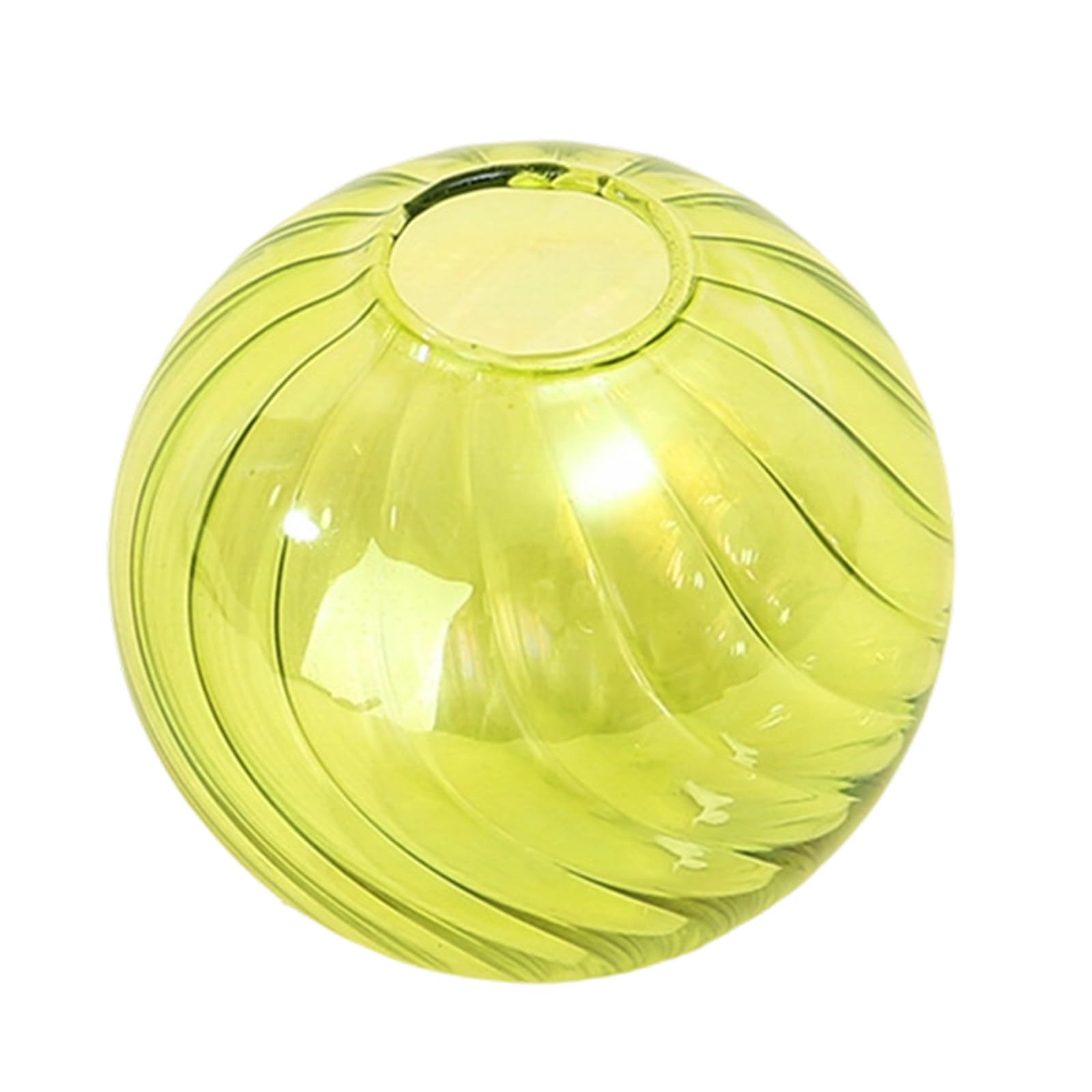 Multipurpose Clear Glass Ball Vases Small Hydroponic Pots Planter for Unique Terrariums Jar and Propagation Stations Display Small Vases
