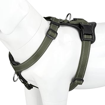 Plutus Pet No Pull Dog Harness with Leather Accents, Adjustable Reflective | Heavy Duty Nylon Pet Vest, for Training and Hiking, Front Clip, Easy Walk for Small Medium Large Dogs, Ranger Green, L