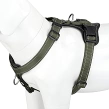 Plutus Pet No Pull Dog Harness with Leather Accents, Adjustable Reflective | Heavy Duty Nylon Pet Vest, for Training and Hiking, Front Clip, Easy Walk for Small Medium Large Dogs, Ranger Green, L