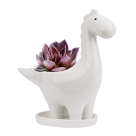Ulikey Dinosaurier Geformt Blumentopf Keramik, Sukkulenten Töpfe Blumentöpfe Pflanze Container Pflanzer Pflanzenbehälter Töpfe für Mini-Pflanzen Kaktus, Kunst Vase Garten Haus Dekoration