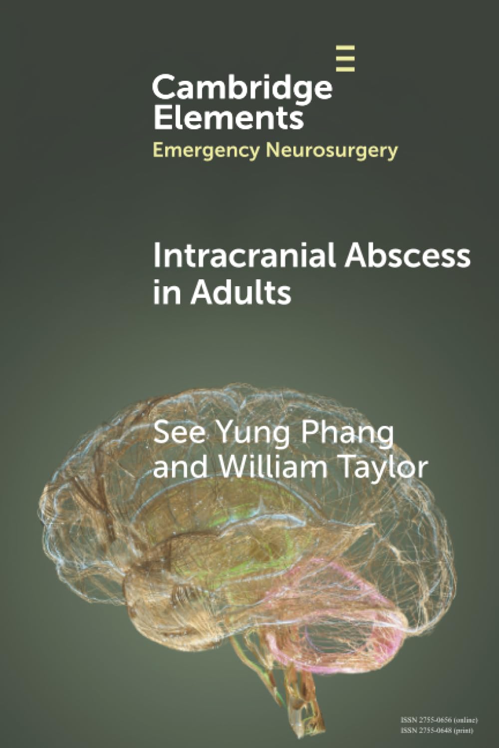 Intracranial Abscess in Adults Phang Taylor Paperback Cambridge University Press