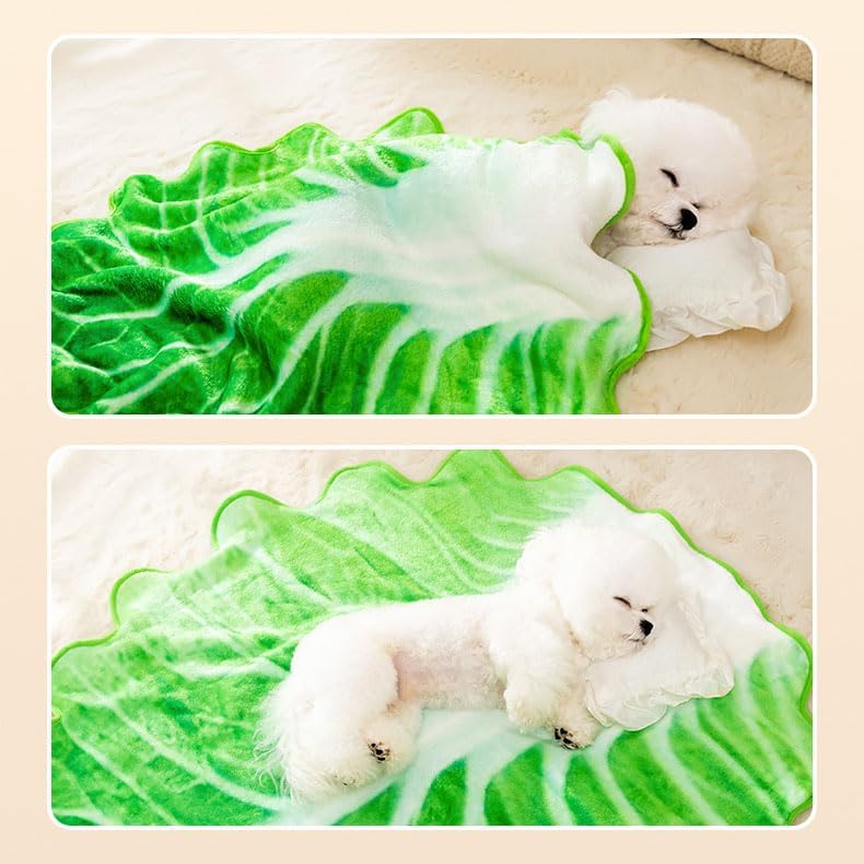 review Pet Blanket Funny Vegetable Blanket Dog Blanket Bed Cover Soft Flannel Round Blanket Protects Couches, Cars, and Beds, Cat Calming Blankets (17.7 * 17.7“)