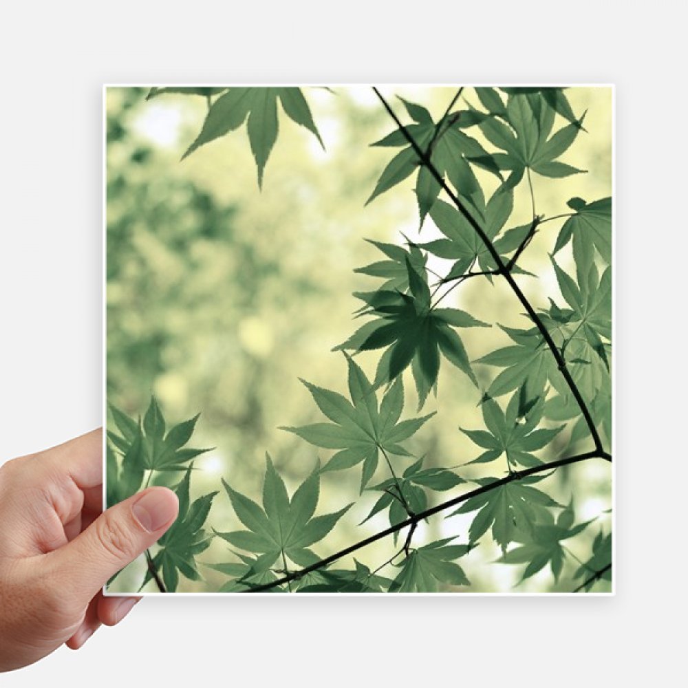 Autocollant feuille d'érable pour personnaliser votre valise de voyage et ordinateur