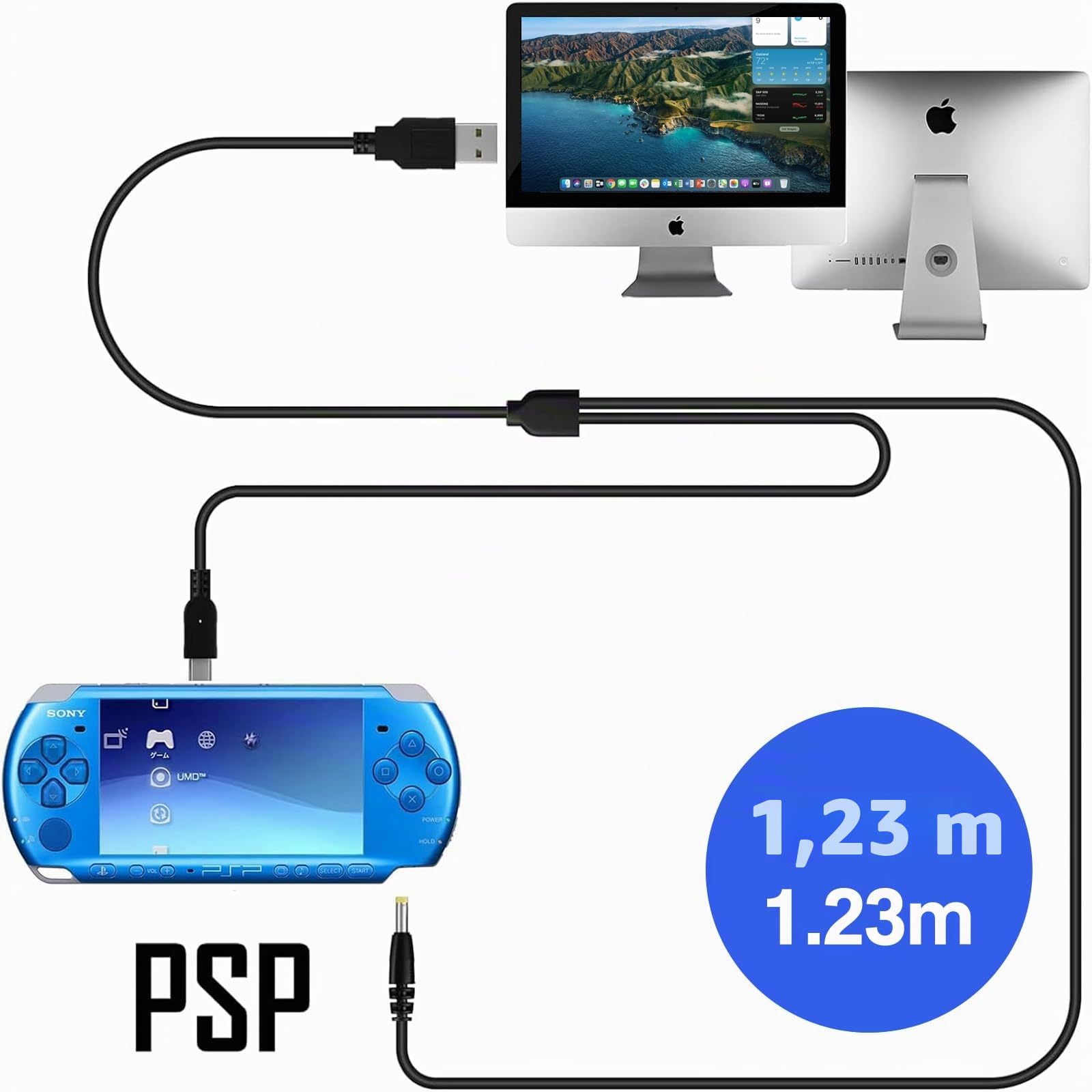Batterie 1600Amh pour PSP 3000/2000, PSP Slim 2000, PSP-S110, PSP-3001, PSP-3000, PSP-3002, PSP-3004, PSP-2001, PSP Slim Console