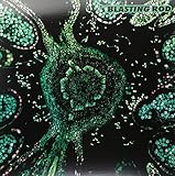 Of Wild Hazel (Clear/Black Swirl)