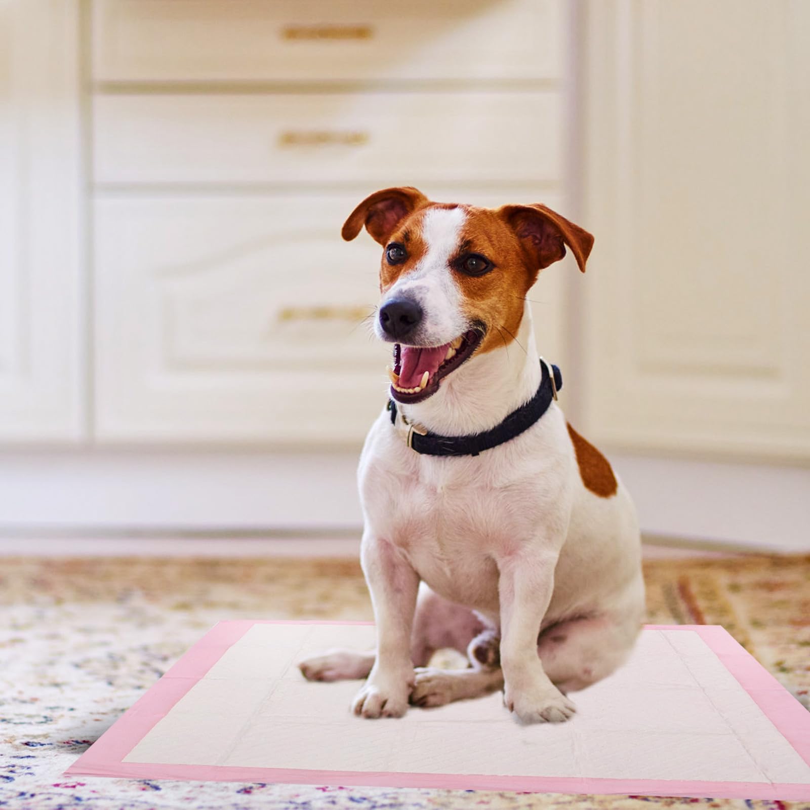 Traversine Assorbenti per Cani Cuccioli e Adulti, 40 Pezzi, Tappetini Igienici Super Assorbenti Non Tessuto, per Uso Quotidiano in Appartamenti