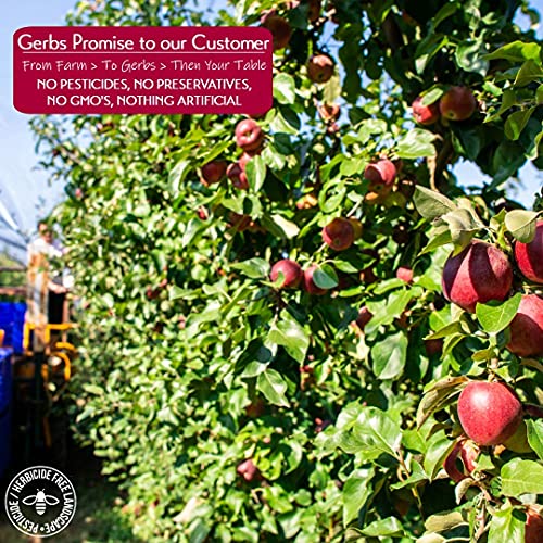 Gerbs Cranberry Apple Oatmeal Bundle, 6 Total Pounds (Traditional Rolled Oats, Dried Cranberries & Dried Apple Rings) Top 14 Food Allergen Free, Non Gmo, Kosher, Made In Rhode Island #TOP6