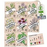 Sustainable Sprout Medicinal Tea Seeds, 8 Variety Pack Herbal Tea Heirloom Seeds, Catnip, Lavender, Peppermint, Lemon Balm, Bee Balm, Echinacea, Sage & Chamomile for Planting, Homesteading Essentials