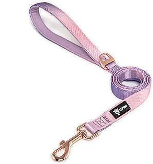 TSPRO Leichtgewicht Hundeleine mit Gepolstertem Griff und Metallverschluss, Farbverlauf Laufleine für Hunde für Kleine bis Mittelgroße Hunde Gehen Laufen (Rosa-Violett) product image