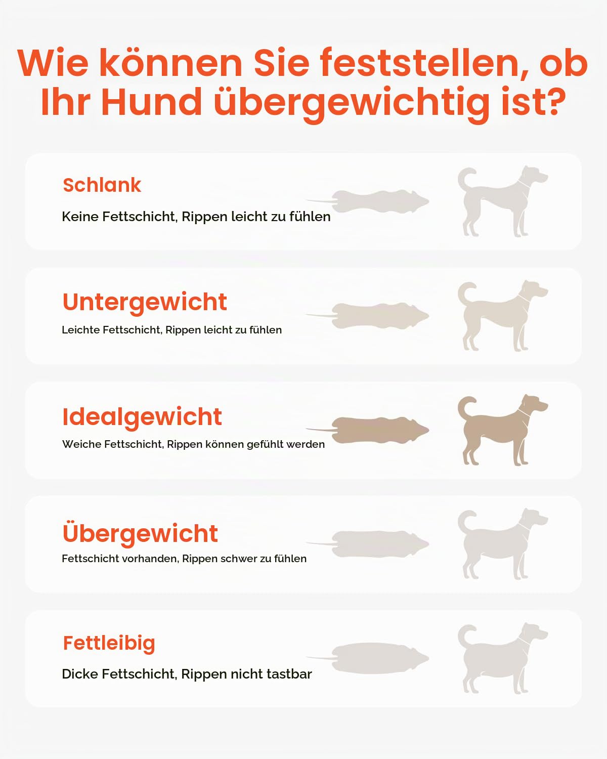 VEVOR Hundelaufband für mittelgroße Hunde, bis 100 kg, Hundelaufmaschine mit verstellbaren Rampen, Dog Pacer Slatmill für Hunde, Haustier-Laufband-Trainingsgerät für Indoor- & Outdoor-Übungen