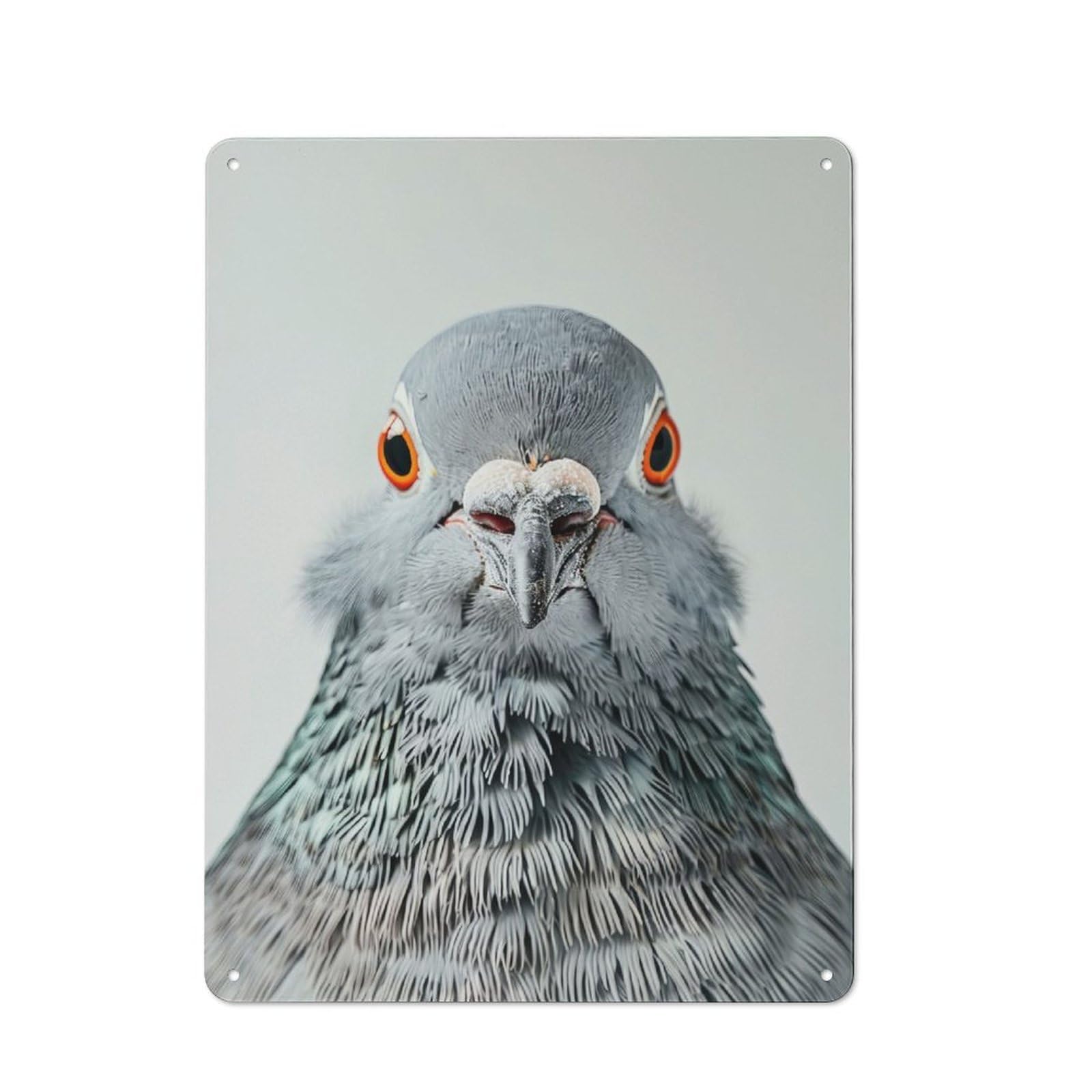 Junmoney Pigeon Face Retro Tin Sign 40X30cm For Garage Or Workshop, For Furnishing A New Garage And Workshop With Retro Decor