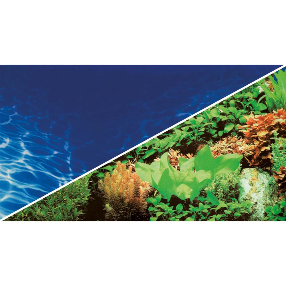 Rückwand photo plantes Hobby pour créer un fond d'aquarium zen