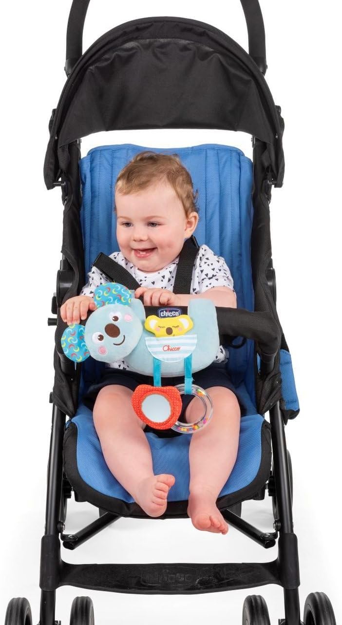 chicco 00010059000000 Stroller Toy, Multi