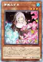 【連番セット】遊戯王 朔夜しぐれ 儚無みずき プリズマ 絵違い PSA10 儚無みずき(25thレア/イラスト違い) | クォーターセンチュリー