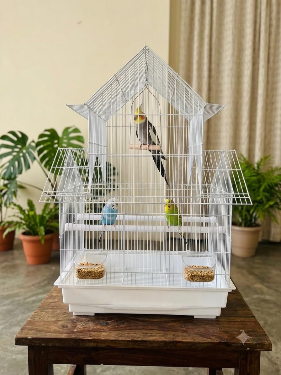 Metal Bird Cage For Budgies,Finches,Love Birds,Cuttlefish Boneholder,2 Cups (44X 33 X 69 Cms)-Central Fish Aquarium (Colors May Vary) (Hut Model)-image-4