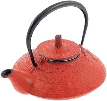 Iwachu Nambu Tekki Teapot