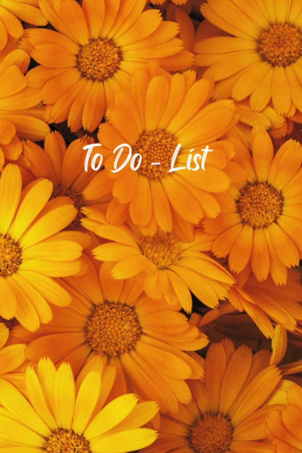 To Do - List: Orange