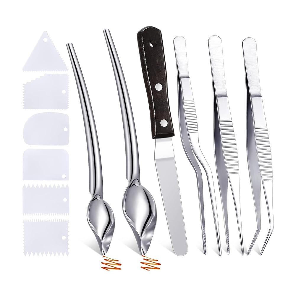 CTRLZS Plating Drizzle Spoons 12 Pcs Chef Plating Tools Cooking Tweezers Culinary Stainless Steel Drawing Spoons