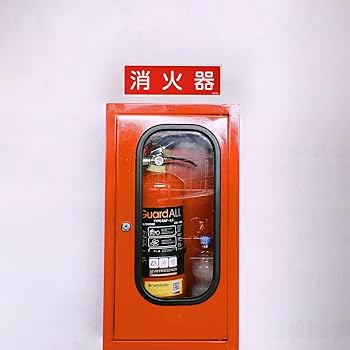61k3e8yk9iL._UF350,350_QL80_.jpg