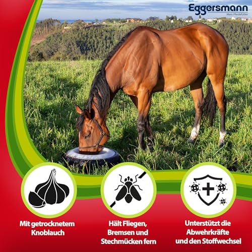 Eggersmann Mein Pferdefutter Profi Knoblauch Plus 1 kg – Ergänzungsfuttermittel für Pferde – Gegen Fliegen, Bremsen & Stechmücken – Unterstützt den Stoffwechsel & die Immunabwehr