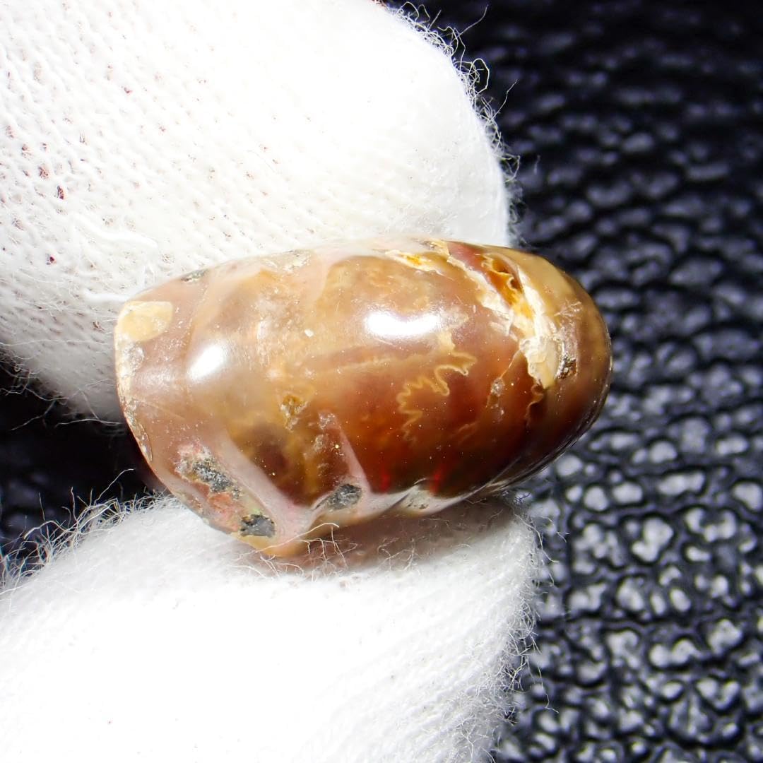 Amazon.co.jp: 天然石 アンモナイト アンモライト 化石 金 占い 風水