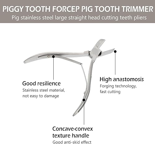 Miniatura 9 de Pinza de cerdo de dientes, mango de pinza de cerdo, mango de pinza de acero para aves de corral, herramienta de tijera para hacer huchas, joyero