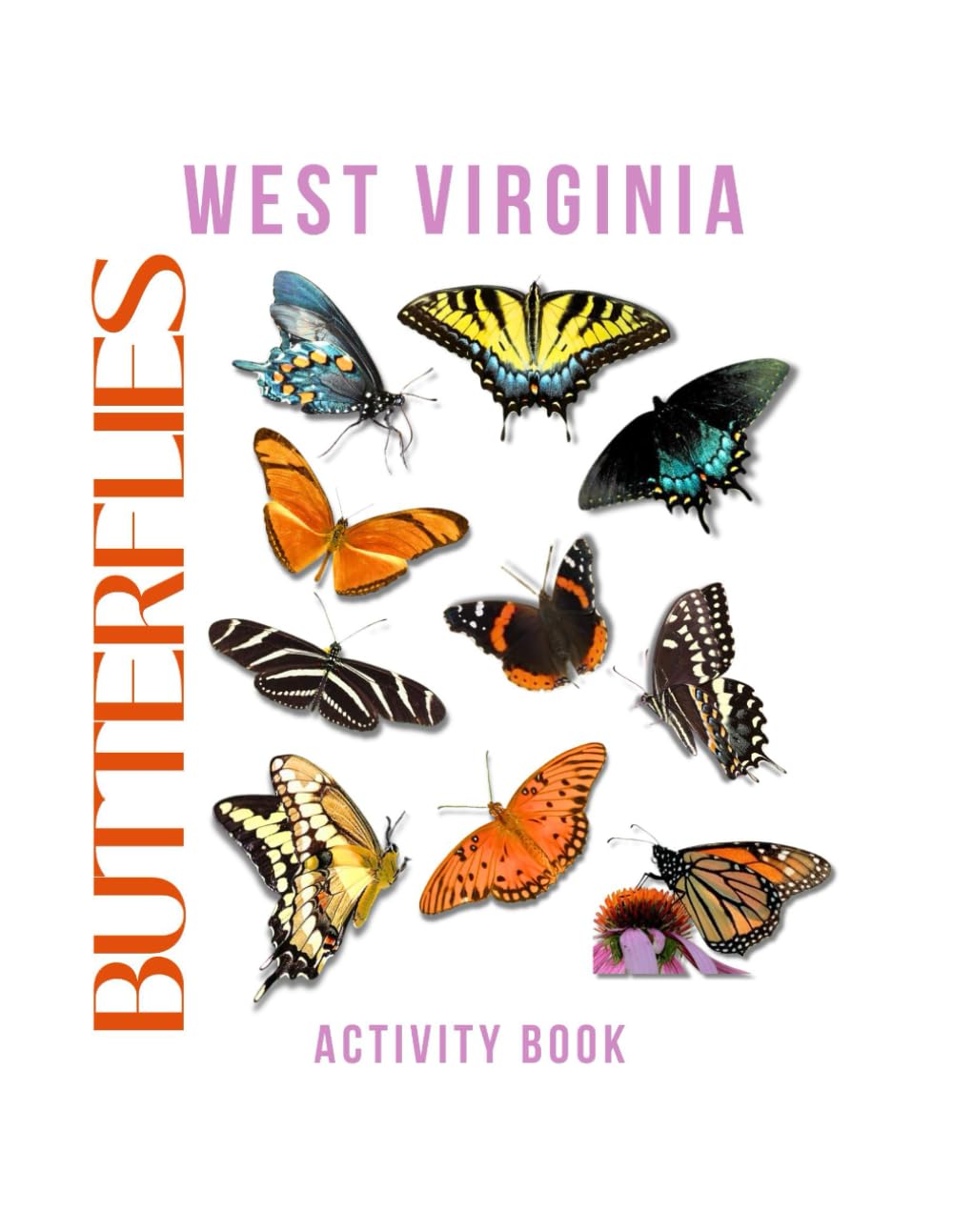 Butterflies of West Virginia Activity Book: A Young Explorer's Field Guide to the Winged Wonders of West Virginia (West Virginia Nature Explorer Series)