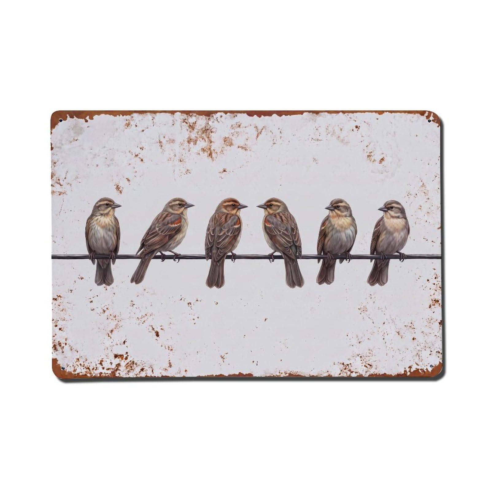 Vintage Retro Birds Redwing Metal Tin Sign