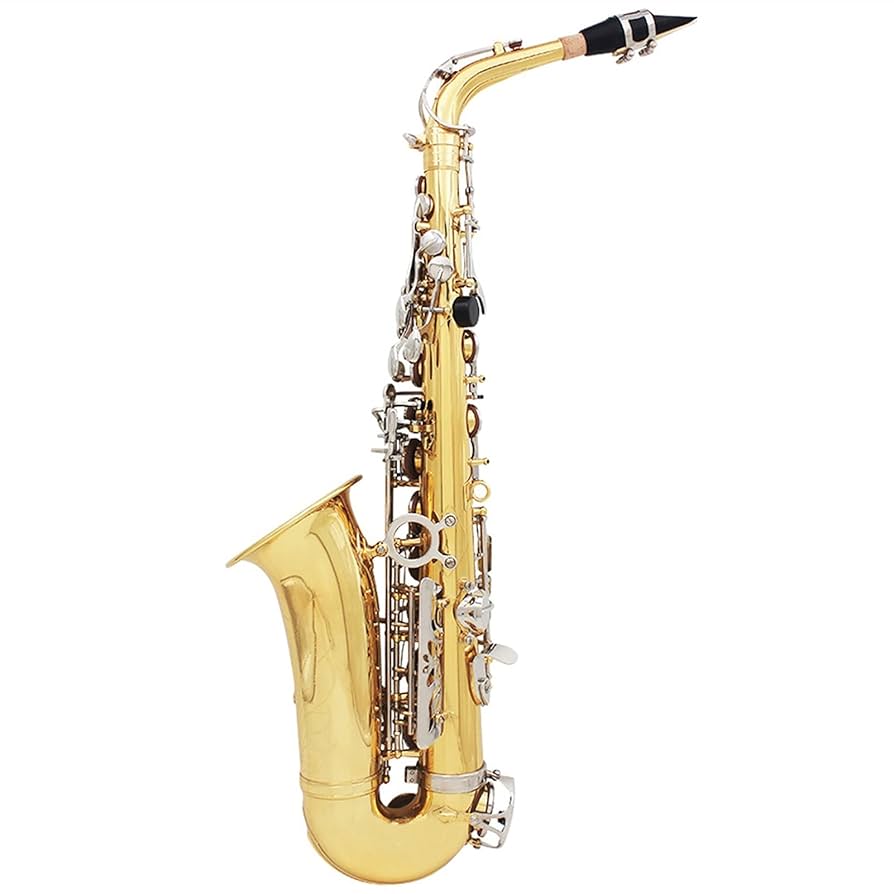 サクソフォン ゴールド アルトサックス Amazon.co.jp: アルトサックス 初心者入門セット Saxophone