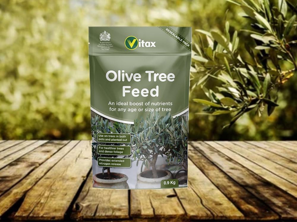 View 6