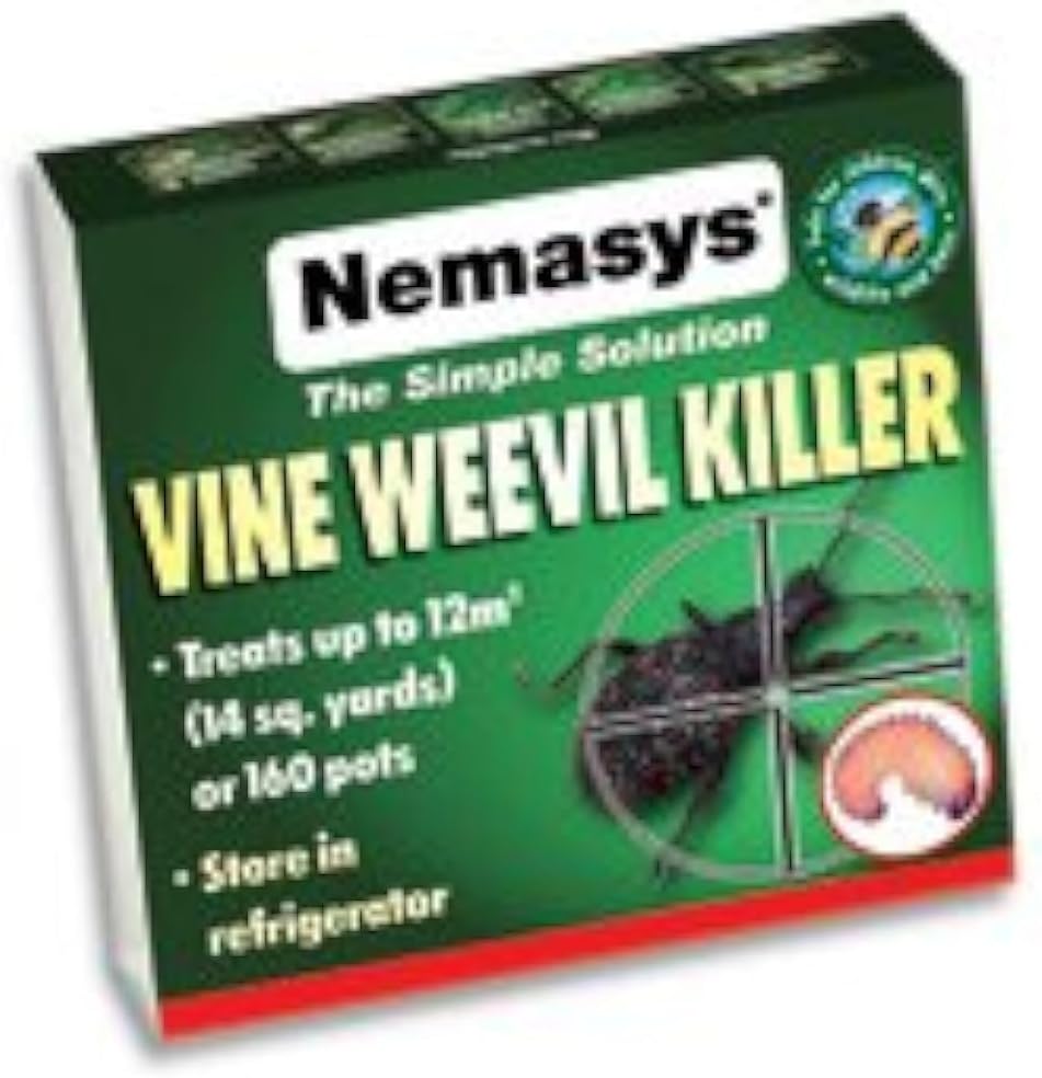 Nemasys vine weevil killer 12sq m - same-day despatch for Insects