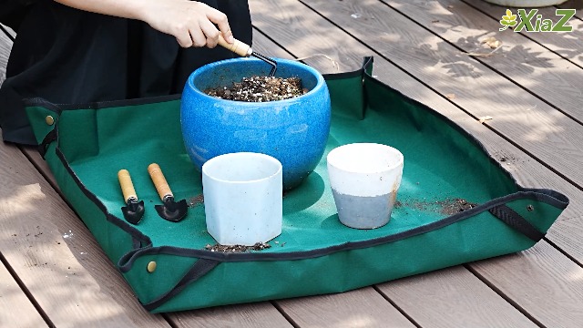 Amazon.co.jp: XiaZ: 園芸シート