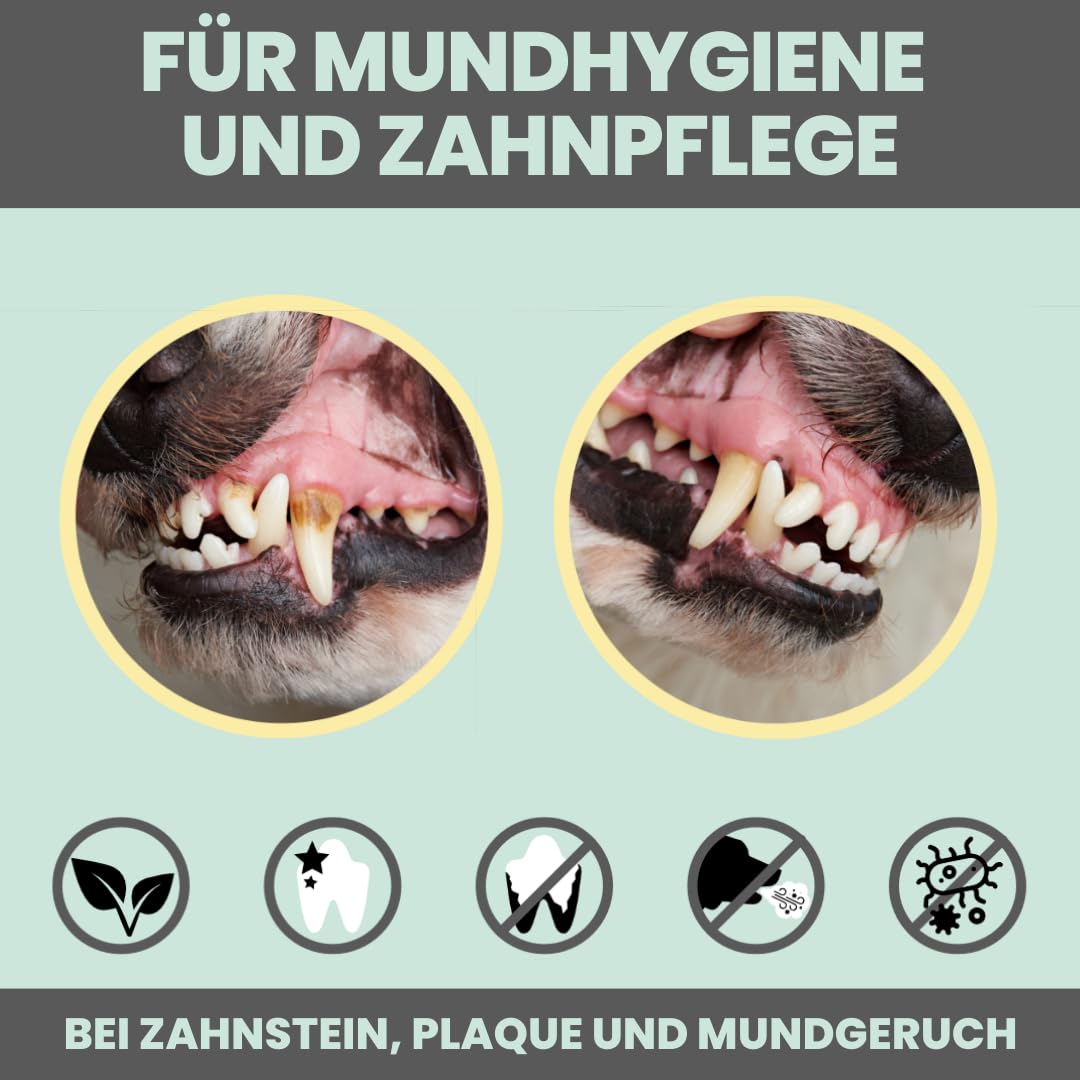 noms+ Dental-Spray für Hunde & Katzen [Jahresvorrat] Spray entfernt Zahnbelag 100% natürlich, gegen Zahnstein, Mundgeruch, Plaque zur Zahnreinigung & Zahnsteinentfernung - frischer Atem