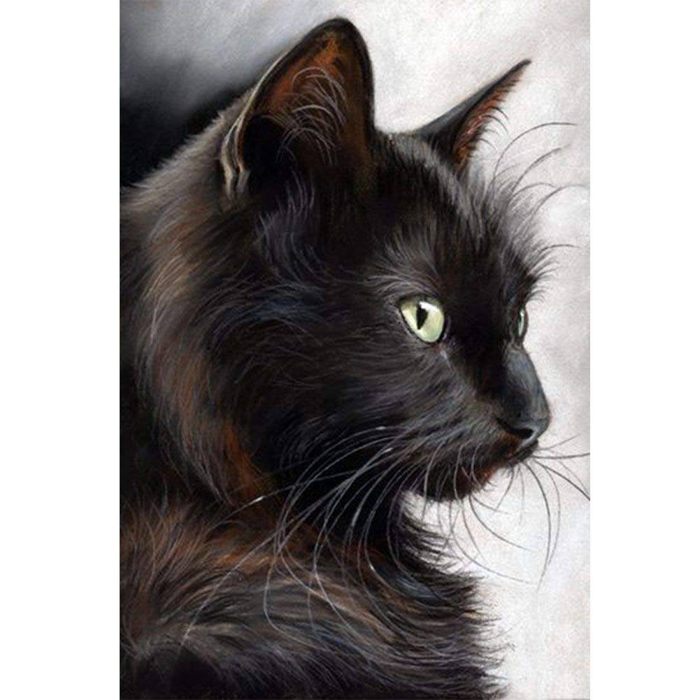 DIY 5D Diamond Painting Kits Cat Pictures for Adults Full Drill Crystal Rhinestone Embroidery Arts Craft Wall Decor Black Cat 11.8x15.7in 1 Pack By Jeatang