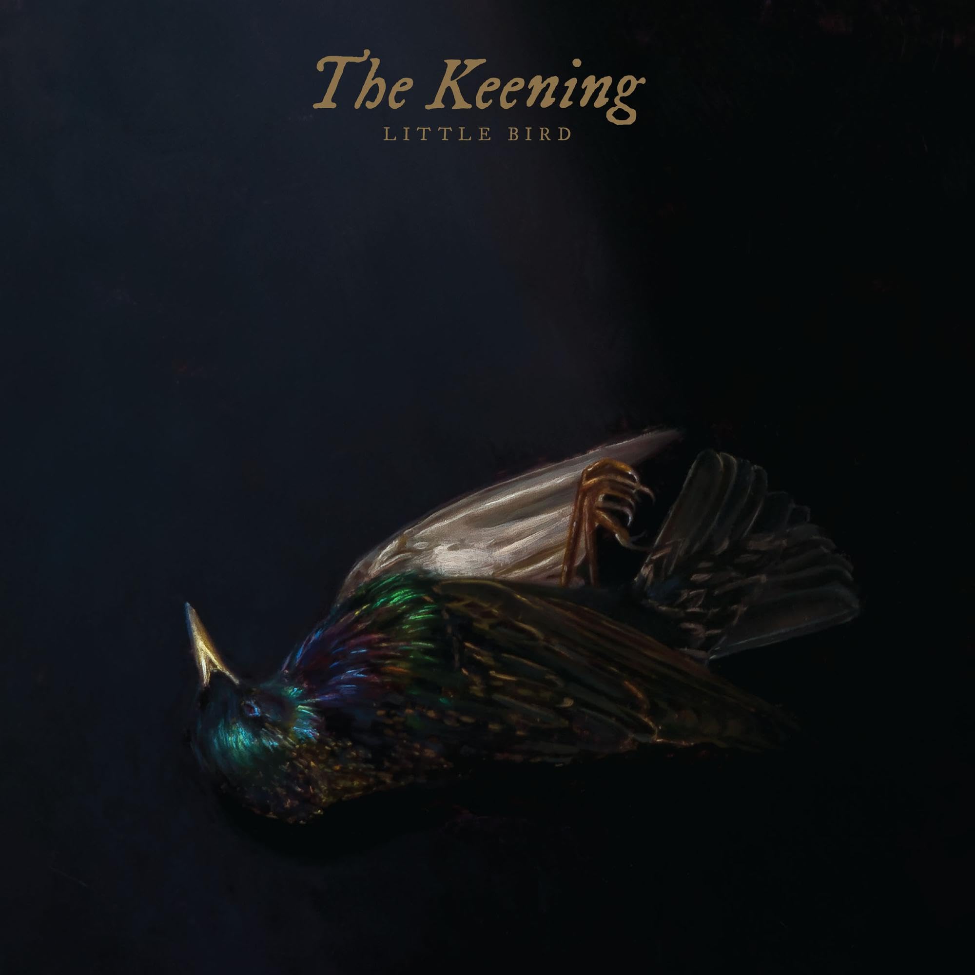 Little Bird [VINYL]