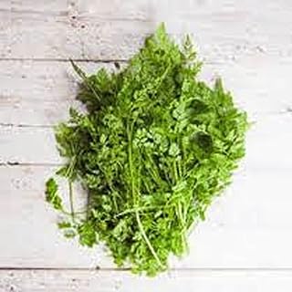 25 Leftover Cranberry Sauce Recipes for Creative Desserts 56 Chervil Seeds, Herb, 25+ Seeds, Non GMO, Use The herb Fresh to Flavor vi...