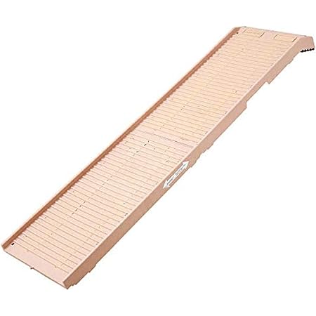 dog pool ramp amazon