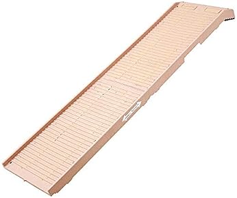 dog pool ramp amazon