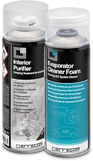 Errecom Total Care, Tratamiento purificador completo para sistemas de climatización de los autovehículos y habitáculos, fragancia de Talco, 2 Botes de 200 mL