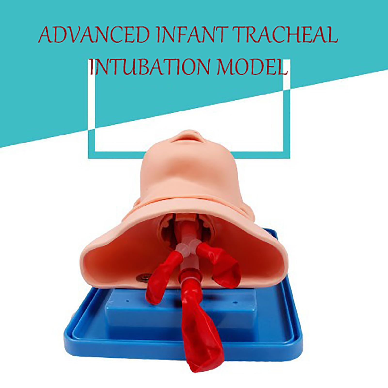 Manikin di intubazione tracheale avanzata, simulatore di intubazione endotracheale, Kit di Assistenza alla Gestione delle Vie aeree pediatriche