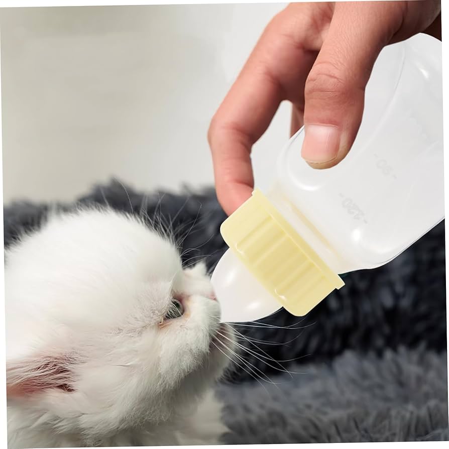 Amazon | VORCOOL 1 セット 哺乳瓶 ペットの ボトル スポイト