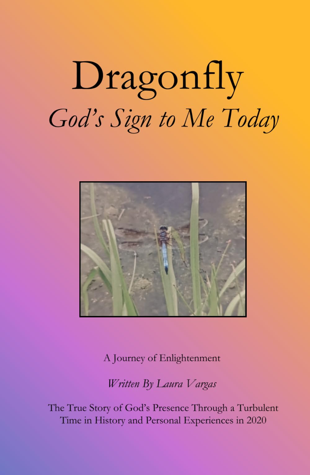 Dragonfly God's Sign to Me Today: A Journey of Enlightenment