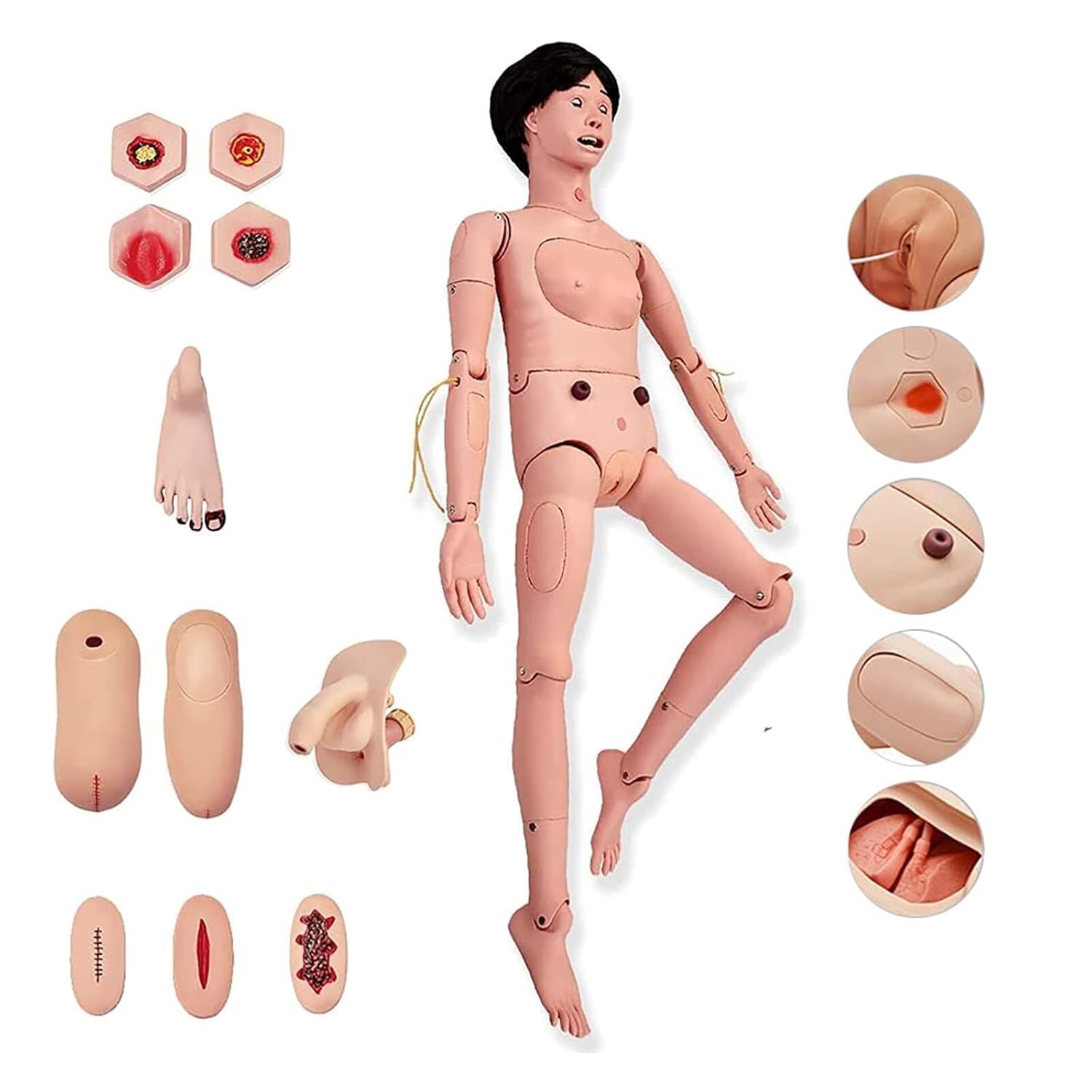 看護実習モデル人形 2体 Amazon.co.jp: 看護実習モデル人形、多機能介護トレーニング人体