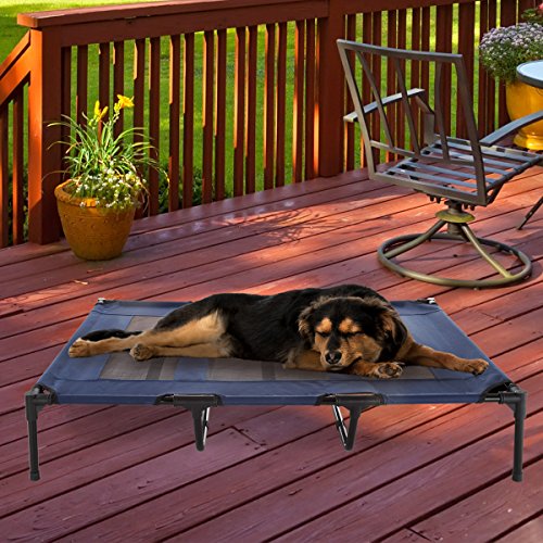 Elevated Pet Bed-Portable Raised Cot-Style Bed W/ Non-Slip Feet, 48”x 35.5”x 9”
